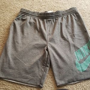 Nike SB dri fit shorts